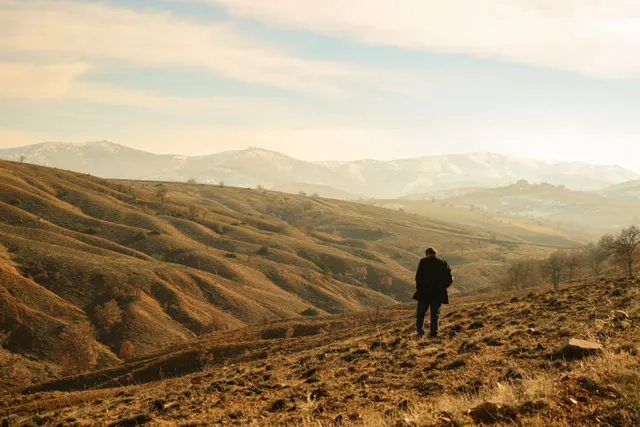 This wide shot places a lone figure against a sweeping, golden landscape, effect