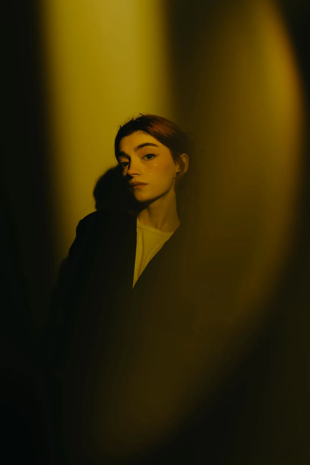 Analyzed frame