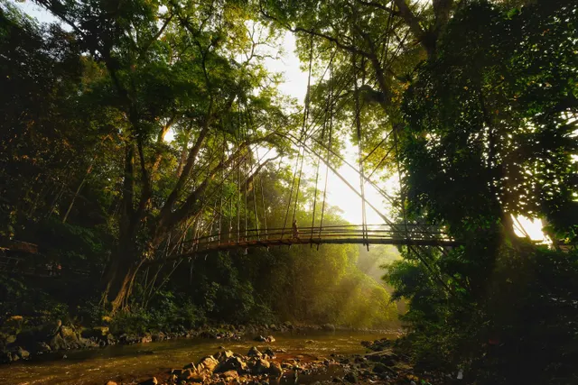 This extreme wide shot captures a person crossing a rustic bridge nestled within